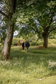 The Dispersed Memorial Forest in The Crichton & NHS Mountainhall, Dumfries, Scotland.