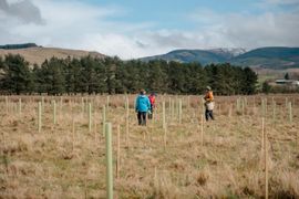 Image from the Phase 2 of Remembering Together, The Dispersed Memorial Forest, Dumfries & Galloway, Scotland.