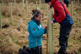 Image from the Phase 2 of Remembering Together, The Dispersed Memorial Forest.