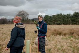 Image from the Phase 2 of Remembering Together, The Dispersed Memorial Forest, Dumfries & Galloway, Scotland.