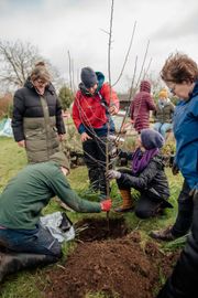 Image from the Phase 2 of Remembering Together, The Dispersed Memorial Forest.