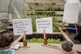 Image from the Phase 2 of Remembering Together, The Dispersed Memorial Forest.