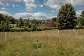 Image from the Phase 2 of Remembering Together, The Dispersed Memorial Forest.