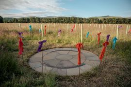 Image from The Dispersed Memorial Forest at the Moffat Community Nature Reserve, Moffat, Scotland.