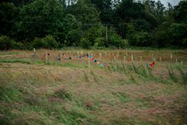 Image from the launch of The Dispersed Memorial Forest at NTS Threave Nature Reserve, Castle Douglas, on Thursday, 27 June, 2024.