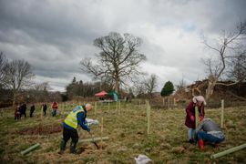 Image from the planting of The Dispersed Memorial Forest in The Crichton & NHS Mountainhall, Dumfries, Scotland.
