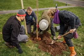 Image from the planting of The Dispersed Memorial Forest in The Crichton & NHS Mountainhall, Dumfries, Scotland.