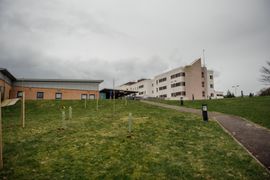 Image from the planting of The Dispersed Memorial Forest in The Crichton & NHS Mountainhall, Dumfries, Scotland.
