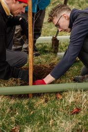 Image from the planting of The Dispersed Memorial Forest in The Crichton & NHS Mountainhall, Dumfries, Scotland.