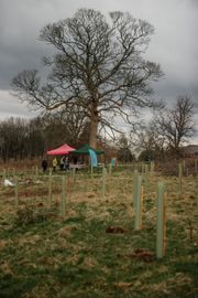 Image from the planting of The Dispersed Memorial Forest in The Crichton & NHS Mountainhall, Dumfries, Scotland.