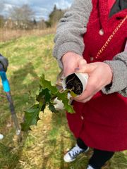 Image from the planting of The Dispersed Memorial Forest in The Crichton & NHS Mountainhall, Dumfries, Scotland.