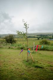 Image from the Phase 2 of Remembering Together, The Dispersed Memorial Forest.