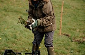 Image from the launch of The Dispersed Memorial Forest at NTS Threave Nature Reserve, Castle Douglas, on Thursday, 27 June, 2024.