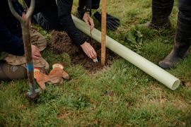 Image from the launch of The Dispersed Memorial Forest at NTS Threave Nature Reserve, Castle Douglas, on Thursday, 27 June, 2024.