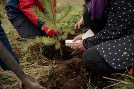 Image from the launch of The Dispersed Memorial Forest at Bell Crecent Park, Sanquhar, on Friday, 14 June, 2024.