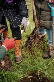 Image from the launch of The Dispersed Memorial Forest at the Galloway Community Hospital, on Saturday, 29 June, 2024.