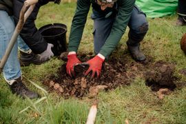 Image from the launch of The Dispersed Memorial Forest at the Galloway Community Hospital, on Saturday, 29 June, 2024.