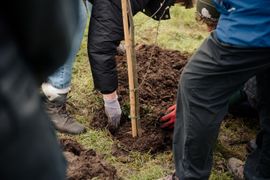 Image from the launch of The Dispersed Memorial Forest at the Galloway Community Hospital, on Saturday, 29 June, 2024.
