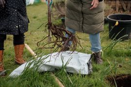 Image from the launch of The Dispersed Memorial Forest at the Galloway Community Hospital, on Saturday, 29 June, 2024.