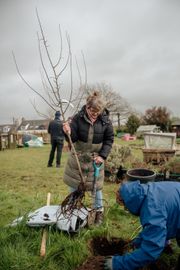 Image from the launch of The Dispersed Memorial Forest at the Galloway Community Hospital, on Saturday, 29 June, 2024.