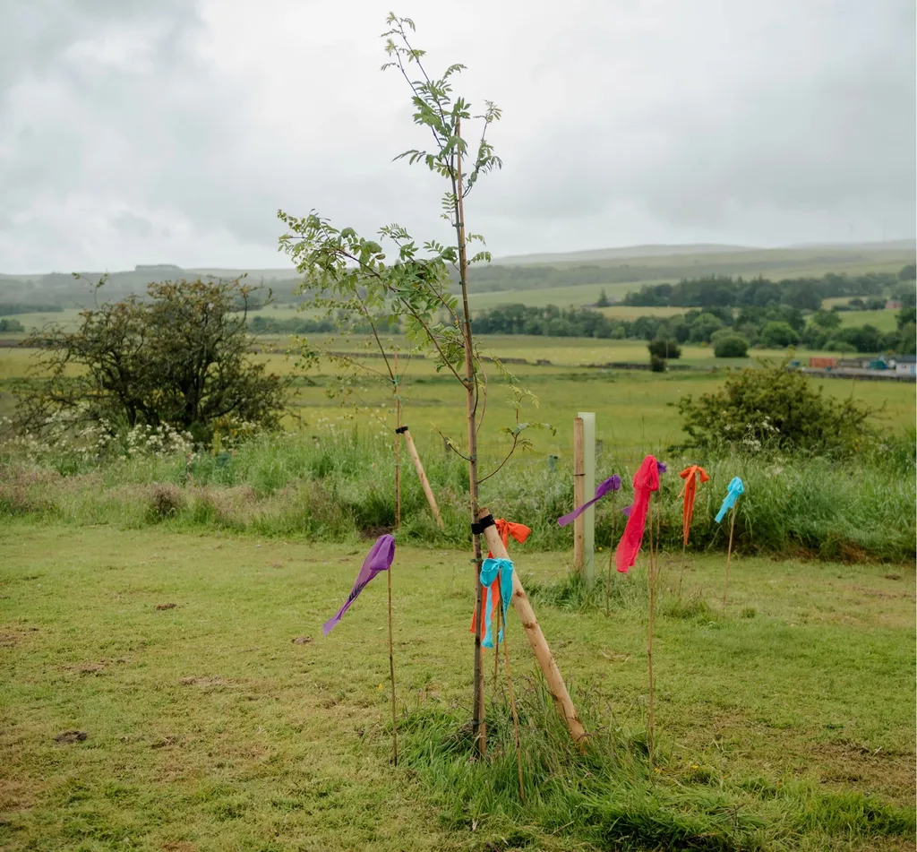 The launching of the forest in Sanquhar.